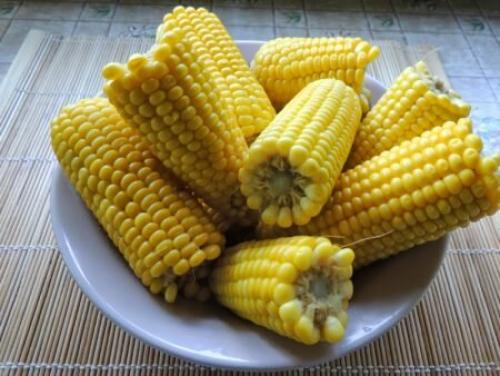 Польза кукурузы вареной при похудении. Польза вареной кукурузы в початке