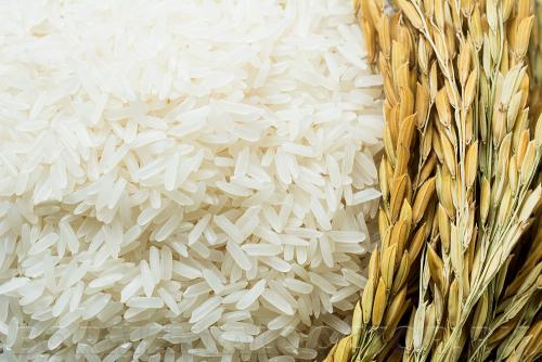 Очищение рисом для похудения. Каким образом рис помогает худеть Все дело в сорте рисовых культур, а также в форме самих зерен, от которых зависит содержание клетчатки в их составе. Для диетического питания важно выбирать рис длиннозерный, поскольку он сохраняет наибольшее количество полезных соединений за счет специфики обработки, а также в несколько раз меньше содержит крахмала. В зависимости от вида риса меняется качество углеводов – они могут быть простыми и сложными.

Самый популярный сорт риса – белый (от круглого до длинного зерна), его чаще всего используют в кулинарии разных стран. Универсальный вкус этого злака позволяет готовить даже сладкие десерты, ведь 4% его составляют сахара. Однако существует и самый полезный сорт, обладающий более выраженным вкусом, но – с меньшей популярностью. По неведомой причине даже худеющие люди обходят его стороной. И совершено зря.