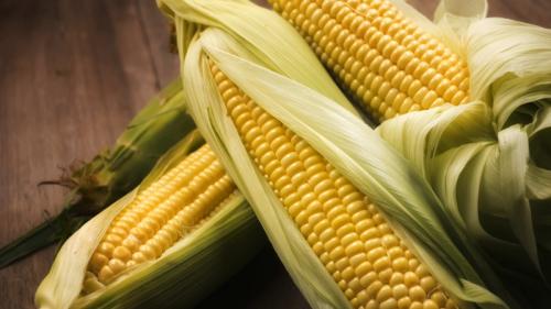 Кукуруза калорийность. Калорийность кукурузы и особенности её состава: витамины, минералы и полезные свойства царицы полей