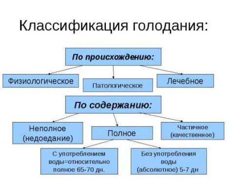 Какие существуют методы голодания, которые можно применять дома. Различные методы голодания