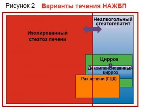 Жировая болезнь печени у детей. 03 Жировая болезнь печени у детей. 03
