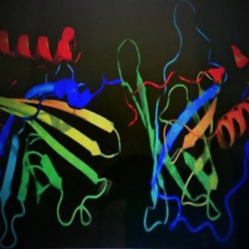 Питание для профилактики и лечения панкреатита. Что такое панкреатит 01 Питание для профилактики и лечения панкреатита. Что такое панкреатит 01