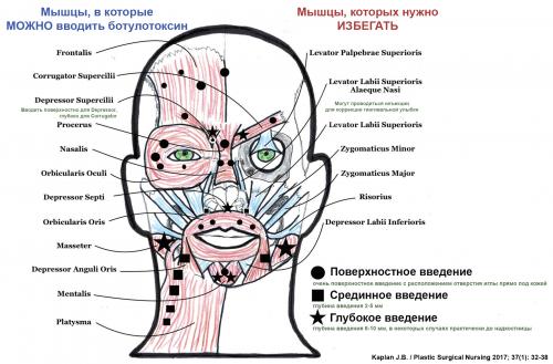 Ботокс: Безопасно и Эффективно – Эффект Укола Без Ущерба 01 Ботокс: Безопасно и Эффективно – Эффект Укола Без Ущерба 01