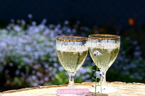 Какие цветы дарят на 45 лет свадьбы. Как отметить 45 лет свадьбы