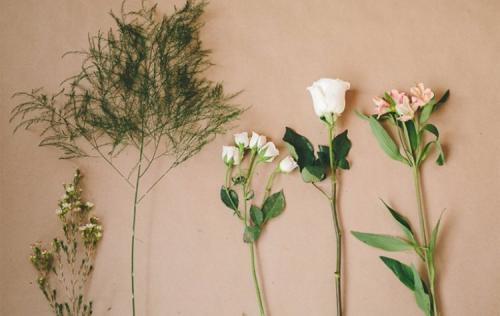 Какие цветы дарят на годовщину свадьбы. Какие цветы подарить жене на годовщину свадьбы? 05 Какие цветы дарят на годовщину свадьбы. Какие цветы подарить жене на годовщину свадьбы? 05