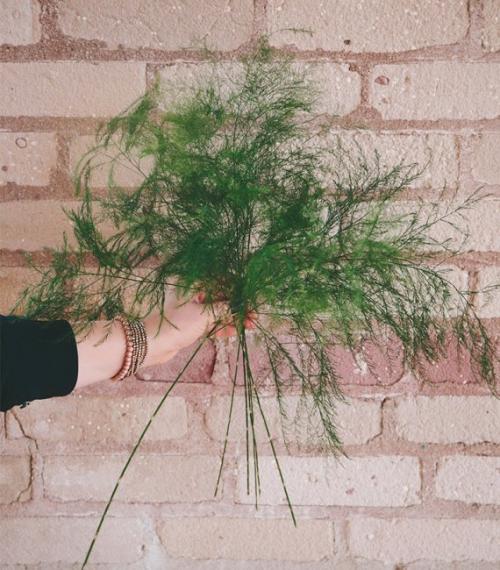 Какие цветы дарят на годовщину свадьбы. Какие цветы подарить жене на годовщину свадьбы? 06 Какие цветы дарят на годовщину свадьбы. Какие цветы подарить жене на годовщину свадьбы? 06