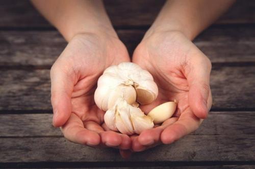 Можно ли есть сырой чеснок беременным или кормящим женщинам. Чем полезен чеснок при беременности