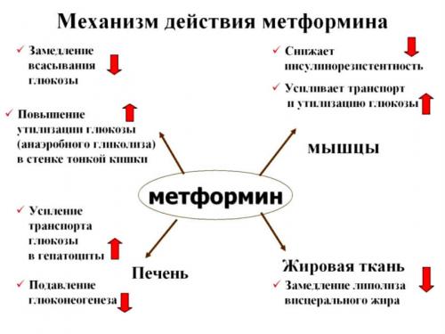 МЕТФОРМИН не снижает сахар. Ольга Яковлева, эндокринолог. Редактор А. Герасимова
