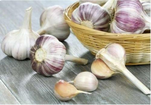 Влияет ли проглатывание чеснока на ночь на похудение. Чеснок при похудении: полезные свойства