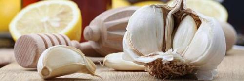 Влияет ли проглатывание чеснока на ночь на похудение. Чеснок при похудении: полезные свойства