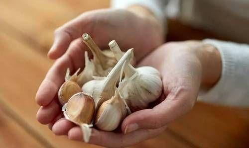В чем польза употребления чеснока по утрам натощак с водой рошаль. Чеснок натощак по утрам: польза и вред