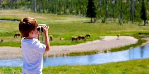 Что нужно знать о LPG: основные аспекты 01