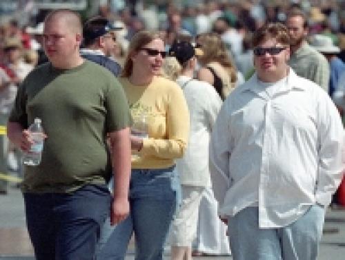 Диета Магги: как похудеть за 4 недели без вреда и голода