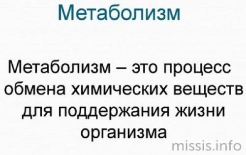 Как ускорить метаболизм в организме. Что такое обмен веществ 02 Как ускорить метаболизм в организме. Что такое обмен веществ 02