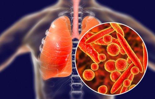 Овес для очищения организма. Лечебные свойства овса 05 Овес для очищения организма. Лечебные свойства овса 05