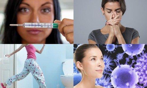 Овес для очищения организма. Лечебные свойства овса 04 Овес для очищения организма. Лечебные свойства овса 04