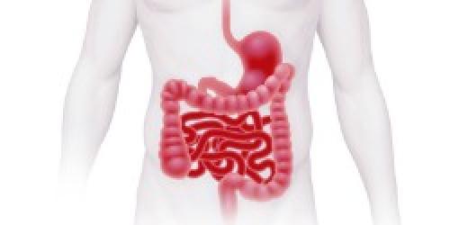 Овес для чистки печени, как заваривать и пить. Подготовка к процессу детоксикации