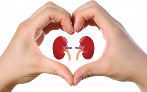 Продукты питания для здоровья мочевого пузыря. Диета при цистите 01