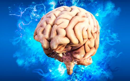 Успокоительные таблетки после алкоголя. Как восстановить нервную систему после запоя