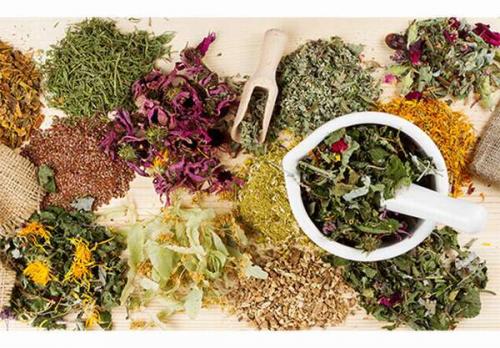 Марва Оганян чистка от паразитов. Методика очищения Марвы Оганян