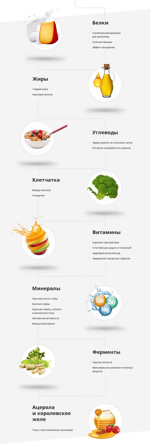 Energy Diet HD. Презентация Energy Diet HD