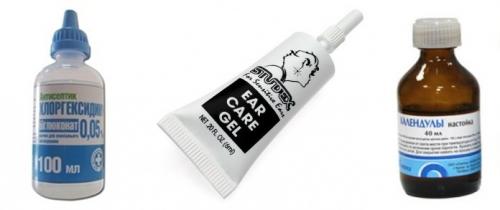 Прокол ушей, как долго заживают. Прокалывание ушек детям: отвечаем на часто задаваемые вопросы 13 Прокол ушей, как долго заживают. Прокалывание ушек детям: отвечаем на часто задаваемые вопросы 13