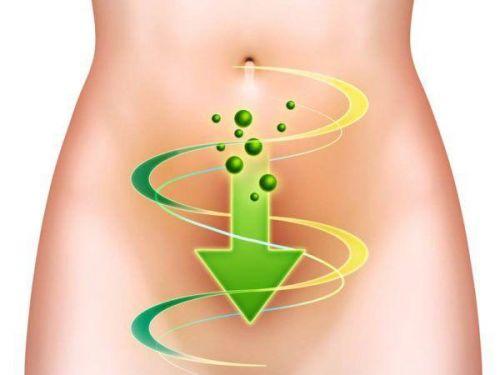 Как и зачем проводить чистку организма перед похудением. Очищение организма по Малахову 05 Как и зачем проводить чистку организма перед похудением. Очищение организма по Малахову 05