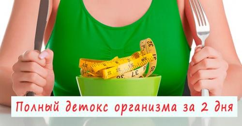 Полное очищение кишечника за 1 день в домашних условиях детокс диета