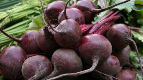 Как часто следует употреблять свеклу, чтобы получить максимальную пользу. Польза и вред свеклы для организма человека: как сколько и в каком виде лучше есть овощ