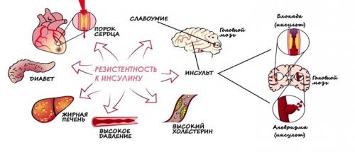 Какие побочные эффекты могут возникнуть при приеме препаратов для нормализации обмена веществ. Как работает Метформин