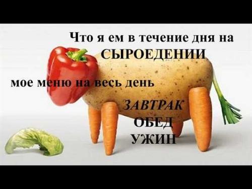 Заголовок 1: Сыроедение для начинающих: Меню на неделю 03 Заголовок 1: Сыроедение для начинающих: Меню на неделю 03