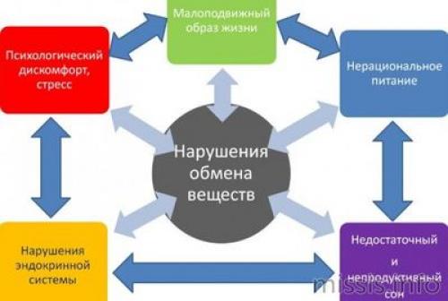 Обмен веществ нарушен. Нарушение обмена веществ: срочно посетите эндокринолога 01 Обмен веществ нарушен. Нарушение обмена веществ: срочно посетите эндокринолога 01