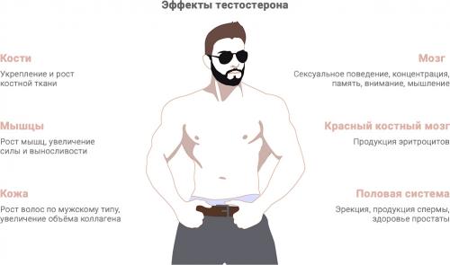 Основные правила мужского здоровья: как поддерживать себя в форме 14 Основные правила мужского здоровья: как поддерживать себя в форме 14