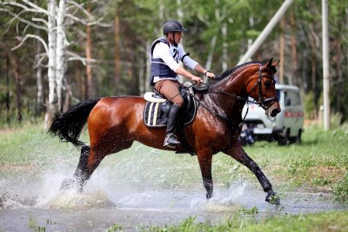 Какие виды спорта наиболее полезны для мужчины. Самые вредные для мужского здоровья виды спорта