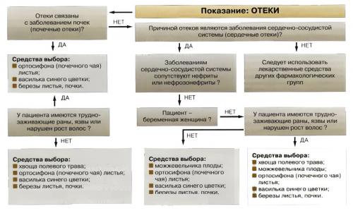Как быстро вывести лишнюю жидкость из организма. Почки 02 Как быстро вывести лишнюю жидкость из организма. Почки 02