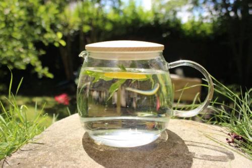 Холодная вода с лимоном рецепт. Начните прямо сейчас и увидите, какие чудеса творит простая вода с лимоном