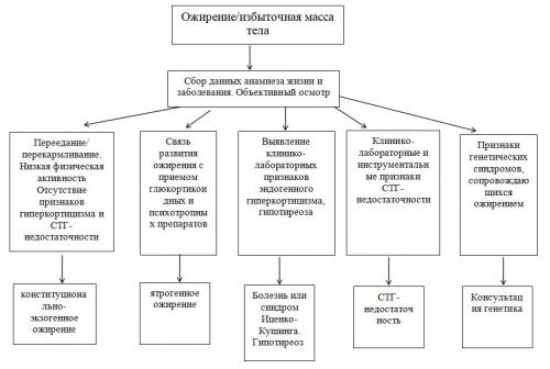 Что такое избыточная масса тела у детей. Диагностика