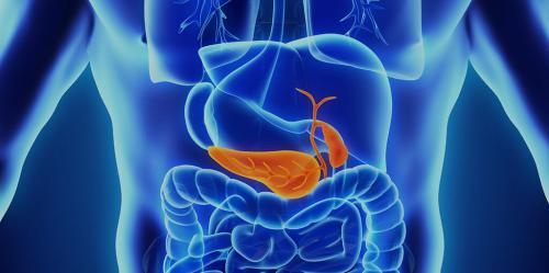 Противоядие для поджелудочной железы: как правильно питаться для ее защиты 04