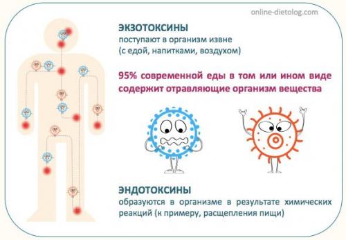 Очищающая диета: как достичь эффективного очищения и похудения 06 Очищающая диета: как достичь эффективного очищения и похудения 06