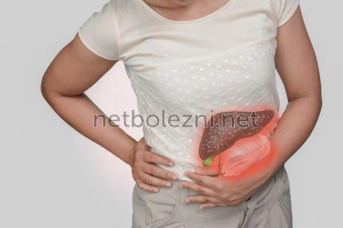 Какие лекарственные средства могут быть использованы для очистки печени