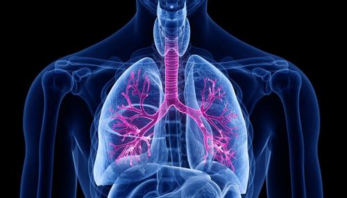 Хронический бронхит у взрослых. Лечение хронического бронхита у взрослых в Москве 02