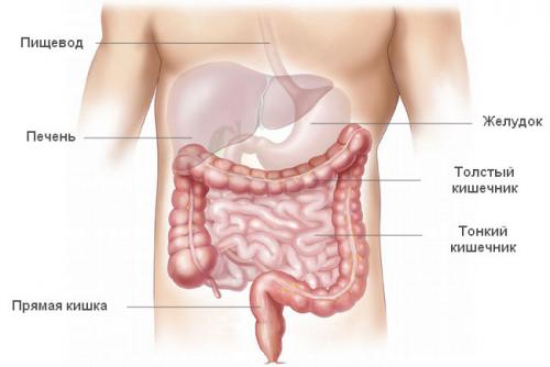 Просто и эффективно: очищение кишечника от шлаков в домашних условиях 06 Просто и эффективно: очищение кишечника от шлаков в домашних условиях 06