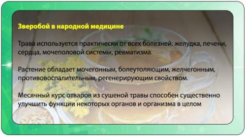 Какие травы для очищения организма от шлаков могут быть использованы в качестве добавок к пище. Применение трав при очищении организма в домашних условиях