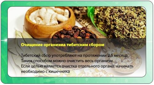 Как эффективно использовать травы для очищения организма от шлаков