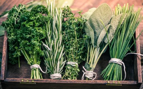 Природные способы выведения токсинов из организма 02