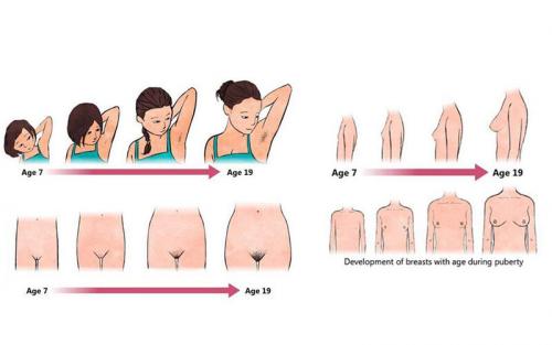 Пропали месячные после похудения. Как «сдуть» живот? 01