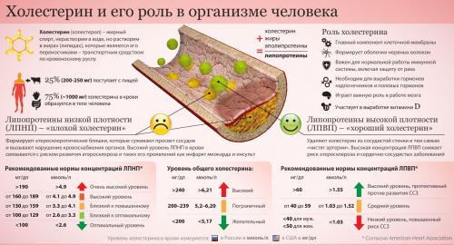 Чистка печени изюмом. Как понизить холестерин: эффективные способы