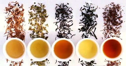 Чистый и здоровый: как чай помогает очищать организм от шлаков и токсинов 05