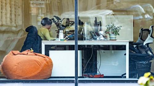 Как использовать травы для очищения организма от шлаков и токсинов 11