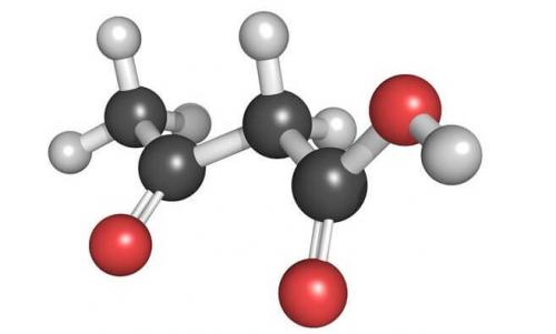 Аткинс диета меню. Диета Аткинса 06 Аткинс диета меню. Диета Аткинса 06